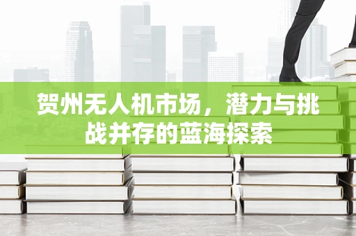 贺州无人机市场，潜力与挑战并存的蓝海探索