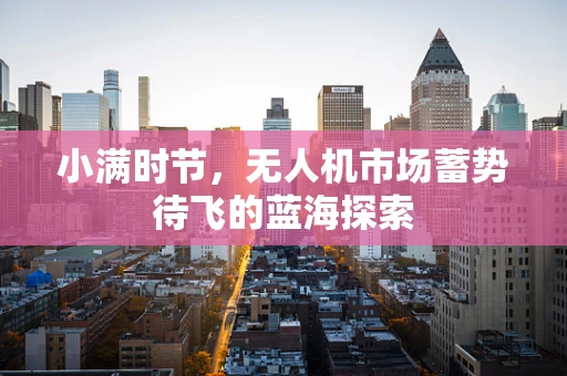 小满时节，无人机市场蓄势待飞的蓝海探索