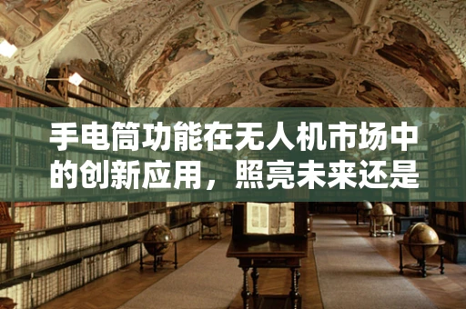手电筒功能在无人机市场中的创新应用，照亮未来还是昙花一现？