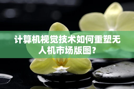 计算机视觉技术如何重塑无人机市场版图？