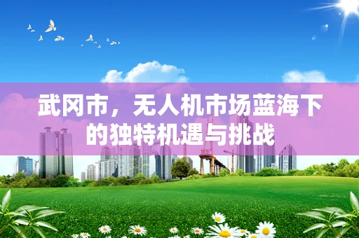 武冈市，无人机市场蓝海下的独特机遇与挑战