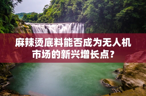 麻辣烫底料能否成为无人机市场的新兴增长点？