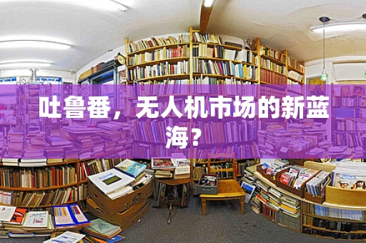 吐鲁番，无人机市场的新蓝海？