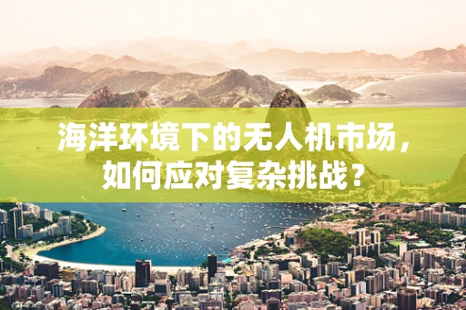 海洋环境下的无人机市场，如何应对复杂挑战？