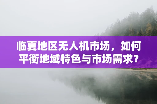 临夏地区无人机市场，如何平衡地域特色与市场需求？