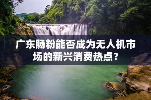 广东肠粉能否成为无人机市场的新兴消费热点？