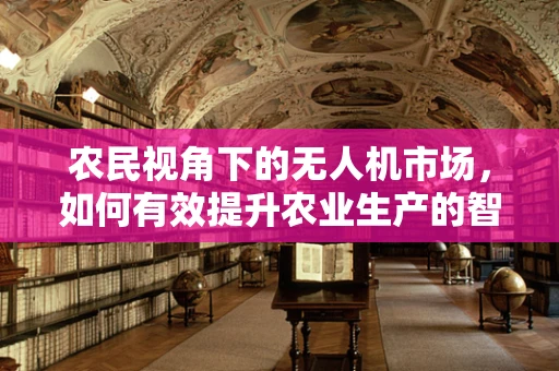 农民视角下的无人机市场，如何有效提升农业生产的智能化与精准化？