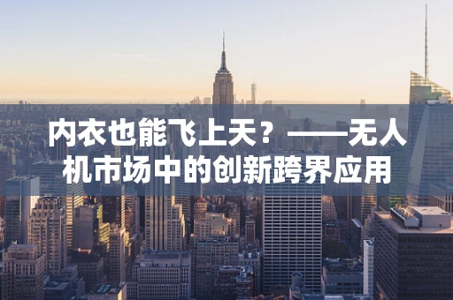 内衣也能飞上天？——无人机市场中的创新跨界应用