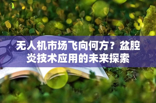 无人机市场飞向何方？盆腔炎技术应用的未来探索