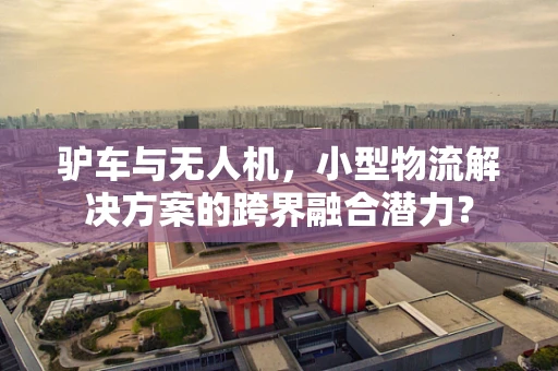 驴车与无人机，小型物流解决方案的跨界融合潜力？