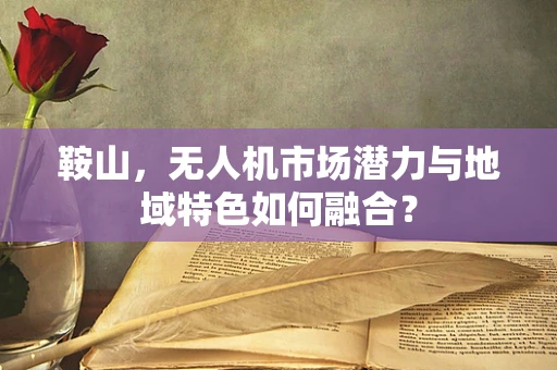 鞍山，无人机市场潜力与地域特色如何融合？