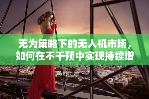 无为策略下的无人机市场，如何在不干预中实现持续增长？