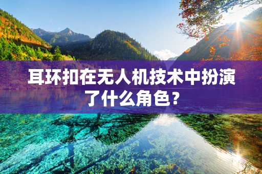 耳环扣在无人机技术中扮演了什么角色？