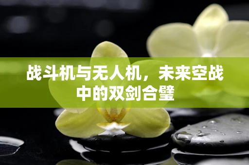 战斗机与无人机，未来空战中的双剑合璧