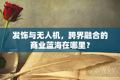 发饰与无人机，跨界融合的商业蓝海在哪里？