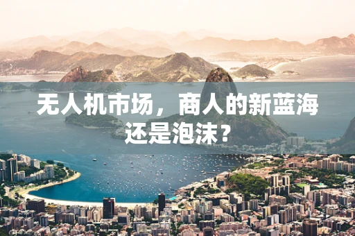 无人机市场，商人的新蓝海还是泡沫？