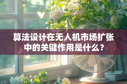 算法设计在无人机市场扩张中的关键作用是什么？