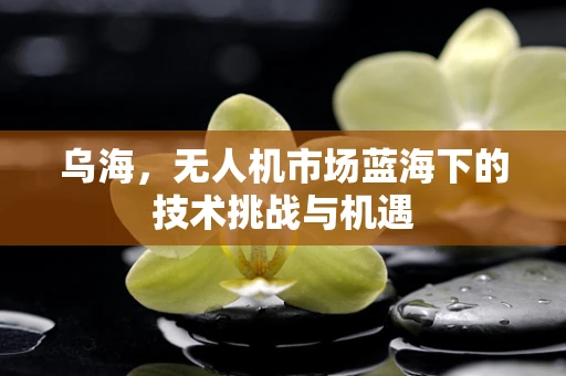 乌海，无人机市场蓝海下的技术挑战与机遇