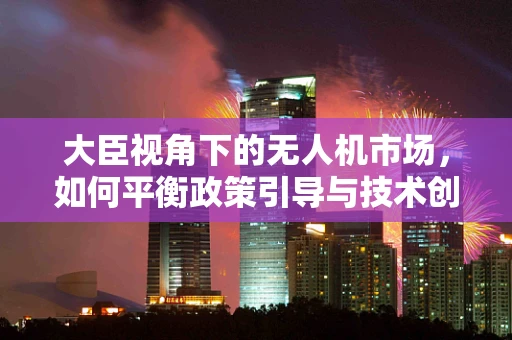 大臣视角下的无人机市场，如何平衡政策引导与技术创新，以促进规模增长？