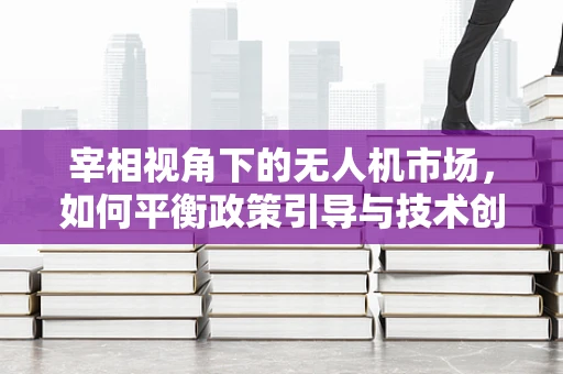 宰相视角下的无人机市场，如何平衡政策引导与技术创新，以促进规模增长？