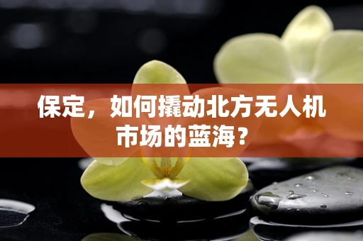 保定，如何撬动北方无人机市场的蓝海？