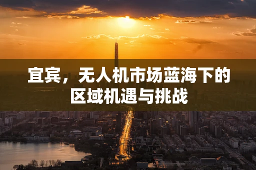 宜宾，无人机市场蓝海下的区域机遇与挑战