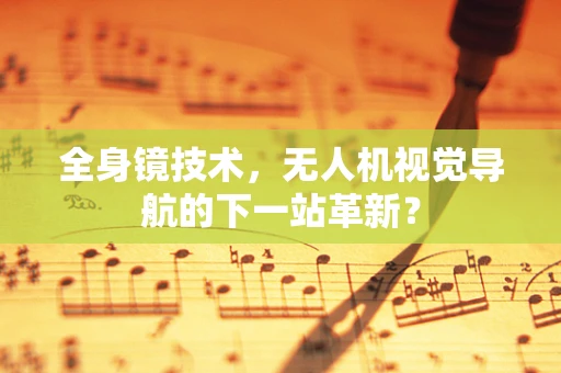 全身镜技术，无人机视觉导航的下一站革新？