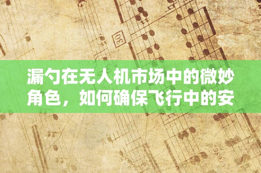 漏勺在无人机市场中的微妙角色，如何确保飞行中的安全与效率？