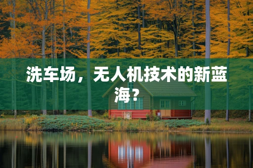 洗车场，无人机技术的新蓝海？