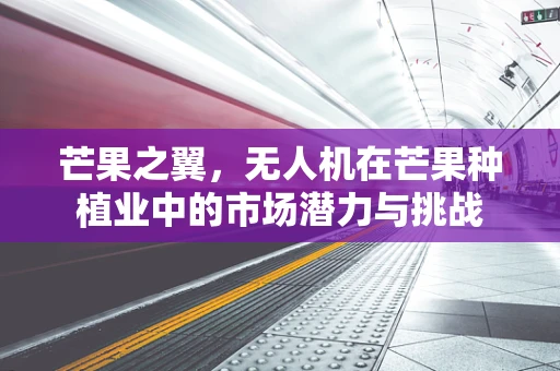 芒果之翼，无人机在芒果种植业中的市场潜力与挑战