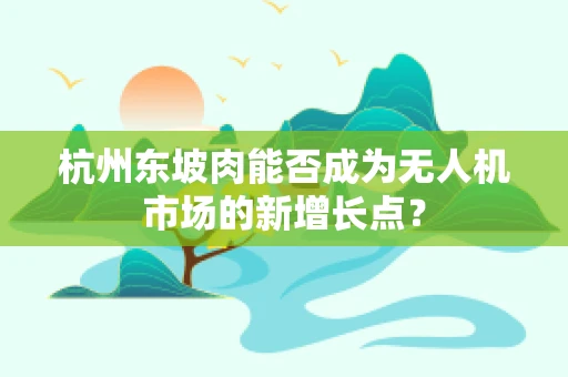 杭州东坡肉能否成为无人机市场的新增长点？