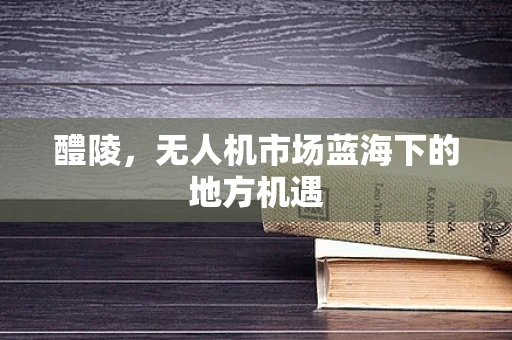 醴陵，无人机市场蓝海下的地方机遇
