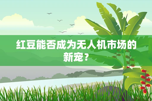红豆能否成为无人机市场的新宠？