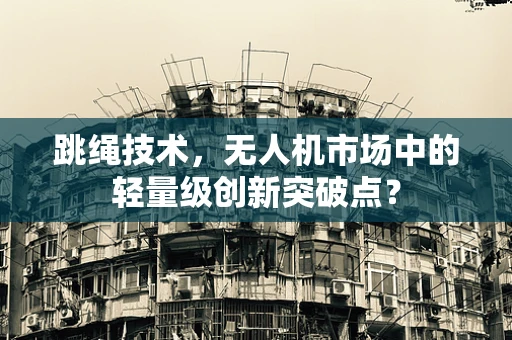 跳绳技术，无人机市场中的轻量级创新突破点？