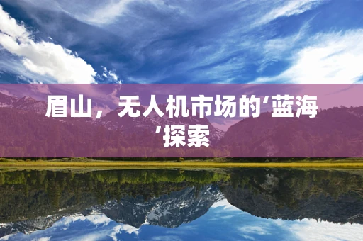 眉山，无人机市场的‘蓝海’探索