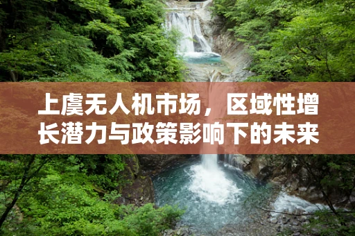 上虞无人机市场，区域性增长潜力与政策影响下的未来趋势？