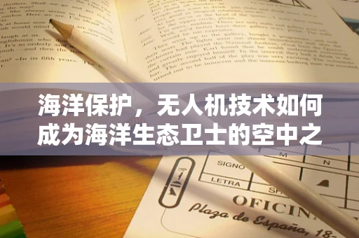 海洋保护，无人机技术如何成为海洋生态卫士的空中之眼？