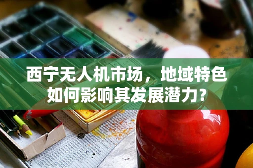 西宁无人机市场，地域特色如何影响其发展潜力？