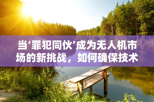 当‘罪犯同伙’成为无人机市场的新挑战，如何确保技术不落入错误之手？