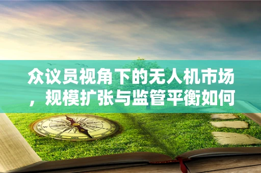 众议员视角下的无人机市场，规模扩张与监管平衡如何共舞？
