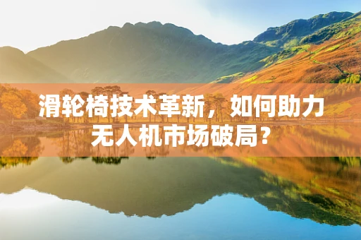 滑轮椅技术革新，如何助力无人机市场破局？