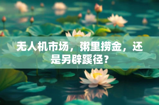 无人机市场，粥里捞金，还是另辟蹊径？