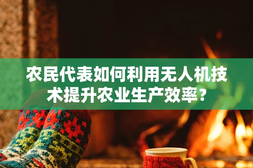 农民代表如何利用无人机技术提升农业生产效率？