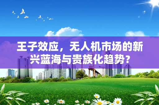 王子效应，无人机市场的新兴蓝海与贵族化趋势？
