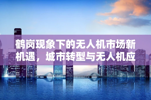 鹤岗现象下的无人机市场新机遇，城市转型与无人机应用的未来