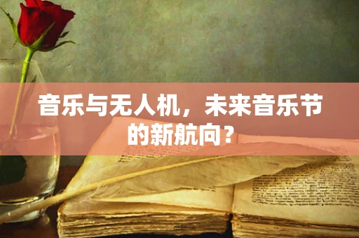 音乐与无人机，未来音乐节的新航向？