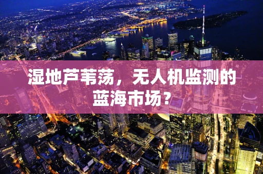 湿地芦苇荡，无人机监测的蓝海市场？