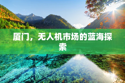 厦门，无人机市场的蓝海探索