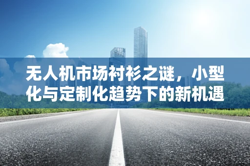 无人机市场衬衫之谜，小型化与定制化趋势下的新机遇？