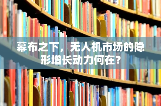 幕布之下，无人机市场的隐形增长动力何在？